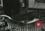 Image of Fishermen of Nova Scotia suffer poverty Nova Scotia, 1922, second 49 stock footage video 65675023746