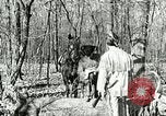 Image of Discussion on US census United States USA, 1960, second 4 stock footage video 65675023757