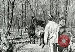 Image of Discussion on US census United States USA, 1960, second 5 stock footage video 65675023757