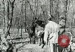 Image of Discussion on US census United States USA, 1960, second 7 stock footage video 65675023757
