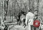 Image of Discussion on US census United States USA, 1960, second 9 stock footage video 65675023757