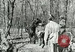 Image of Discussion on US census United States USA, 1960, second 10 stock footage video 65675023757