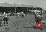 Image of Buffalo Bill Circus United States USA, 1916, second 39 stock footage video 65675023758
