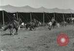 Image of Buffalo Bill Circus United States USA, 1916, second 54 stock footage video 65675023758