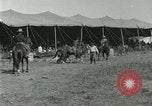 Image of Buffalo Bill Circus United States USA, 1916, second 55 stock footage video 65675023758