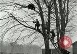 Image of School at Old Dobbin Columbia Maryland USA, 1916, second 62 stock footage video 65675023761
