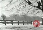 Image of Students leave school Columbia Maryland USA, 1916, second 44 stock footage video 65675023762