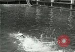 Image of Swimming race San Francisco California USA, 1916, second 8 stock footage video 65675023768