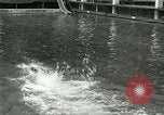 Image of Swimming race San Francisco California USA, 1916, second 9 stock footage video 65675023768