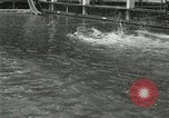 Image of Swimming race San Francisco California USA, 1916, second 15 stock footage video 65675023768