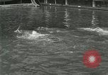 Image of Swimming race San Francisco California USA, 1916, second 30 stock footage video 65675023768