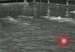 Image of Swimming race San Francisco California USA, 1916, second 33 stock footage video 65675023768