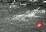 Image of Swimming race San Francisco California USA, 1916, second 41 stock footage video 65675023768