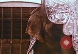 Standbild Ringling Brothers Barnum Bailey Circus Nashville Tennessee USA, 1977, aus Sekunde 39 historischem Filmmaterial Videoclip 65675023769