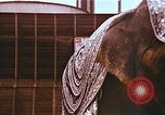 Standbild Ringling Brothers Barnum Bailey Circus Nashville Tennessee USA, 1977, aus Sekunde 40 historischem Filmmaterial Videoclip 65675023769