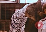 Standbild Ringling Brothers Barnum Bailey Circus Nashville Tennessee USA, 1977, aus Sekunde 41 historischem Filmmaterial Videoclip 65675023769