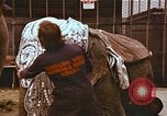 Standbild Ringling Brothers Barnum Bailey Zirkus einrichten United States USA, 1977, aus Sekunde 29 historischem Filmmaterial Videoclip 65675023770