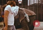 Standbild Ringling Brothers Barnum Bailey Zirkus einrichten United States USA, 1977, aus Sekunde 30 historischem Filmmaterial Videoclip 65675023770