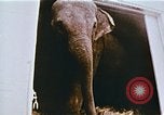 Standbild Ringling Brothers Barnum Bailey Zirkus einrichten United States USA, 1977, aus Sekunde 56 historischem Filmmaterial Videoclip 65675023770