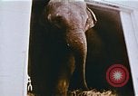 Standbild Ringling Brothers Barnum Bailey Zirkus einrichten United States USA, 1977, aus Sekunde 57 historischem Filmmaterial Videoclip 65675023770
