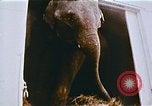 Standbild Ringling Brothers Barnum Bailey Zirkus einrichten United States USA, 1977, aus Sekunde 58 historischem Filmmaterial Videoclip 65675023770