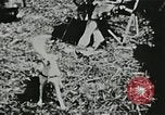 Immagine di Vintage scene dei fratelli Ringling Barnum & Bailey Circus United States USA, 1926, secondo 18 filmato di repertorio 65675023771
