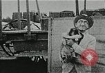 Immagine di Vintage scene dei fratelli Ringling Barnum & Bailey Circus United States USA, 1926, secondo 43 filmato di repertorio 65675023771