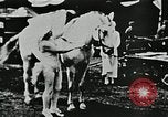 Immagine di Vintage scene dei fratelli Ringling Barnum & Bailey Circus United States USA, 1926, secondo 51 filmato di repertorio 65675023771
