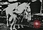 Immagine di Vintage scene dei fratelli Ringling Barnum & Bailey Circus United States USA, 1926, secondo 52 filmato di repertorio 65675023771