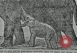 Immagine di La storia del Circus in America del Nord United States USA, 1929, secondo 45 filmato di repertorio 65675023773