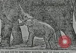 Immagine di La storia del Circus in America del Nord United States USA, 1929, secondo 46 filmato di repertorio 65675023773