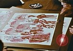 Immagine di Smontaggio e movimentazione di un circo su un treno United States USA, 1970, secondo 61 filmato di repertorio 65675023774