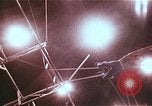 Immagine di Trapezio Gaonas artisti nel circus Nashville Tennessee USA, 1977, secondo 25 filmato di repertorio 65675023775