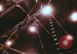 Immagine di Trapezio Gaonas artisti nel circus Nashville Tennessee USA, 1977, secondo 27 filmato di repertorio 65675023775