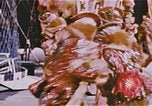 Image Ours chevaux clowns et trapézistes effectuer dans le cirque Nashville Tennessee USA, 1977, de la seconde 6 séquences d'archives historiques vidéo 65675023778