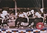 Image Ours chevaux clowns et trapézistes effectuer dans le cirque Nashville Tennessee USA, 1977, de la seconde 17 séquences d'archives historiques vidéo 65675023778