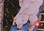 Image Ours chevaux clowns et trapézistes effectuer dans le cirque Nashville Tennessee USA, 1977, de la seconde 29 séquences d'archives historiques vidéo 65675023778