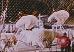 Image Ours chevaux clowns et trapézistes effectuer dans le cirque Nashville Tennessee USA, 1977, de la seconde 34 séquences d'archives historiques vidéo 65675023778