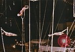 Image Ours chevaux clowns et trapézistes effectuer dans le cirque Nashville Tennessee USA, 1977, de la seconde 43 séquences d'archives historiques vidéo 65675023778