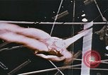 Image Ours chevaux clowns et trapézistes effectuer dans le cirque Nashville Tennessee USA, 1977, de la seconde 44 séquences d'archives historiques vidéo 65675023778