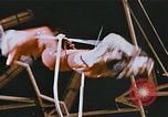 Image Ours chevaux clowns et trapézistes effectuer dans le cirque Nashville Tennessee USA, 1977, de la seconde 45 séquences d'archives historiques vidéo 65675023778