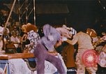 Image Ours chevaux clowns et trapézistes effectuer dans le cirque Nashville Tennessee USA, 1977, de la seconde 51 séquences d'archives historiques vidéo 65675023778