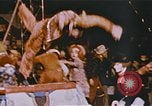 Image Ours chevaux clowns et trapézistes effectuer dans le cirque Nashville Tennessee USA, 1977, de la seconde 52 séquences d'archives historiques vidéo 65675023778
