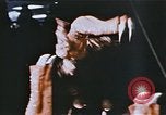 Image Ours chevaux clowns et trapézistes effectuer dans le cirque Nashville Tennessee USA, 1977, de la seconde 61 séquences d'archives historiques vidéo 65675023778