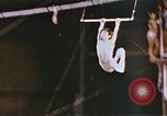 Standbild Ringling Brothers Barnum & Bailey Circus anzeigen Nashville Tennessee USA, 1977, aus Sekunde 16 historischem Filmmaterial Videoclip 65675023779