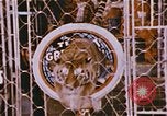 Standbild Ringling Brothers Barnum & Bailey Circus anzeigen Nashville Tennessee USA, 1977, aus Sekunde 28 historischem Filmmaterial Videoclip 65675023779