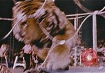 Standbild Ringling Brothers Barnum & Bailey Circus anzeigen Nashville Tennessee USA, 1977, aus Sekunde 30 historischem Filmmaterial Videoclip 65675023779
