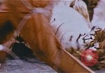 Standbild Ringling Brothers Barnum & Bailey Circus anzeigen Nashville Tennessee USA, 1977, aus Sekunde 33 historischem Filmmaterial Videoclip 65675023779