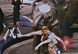 Standbild Ringling Brothers Barnum & Bailey Circus anzeigen Nashville Tennessee USA, 1977, aus Sekunde 56 historischem Filmmaterial Videoclip 65675023779