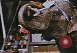 Standbild Ringling Brothers Barnum & Bailey Circus anzeigen Nashville Tennessee USA, 1977, aus Sekunde 57 historischem Filmmaterial Videoclip 65675023779